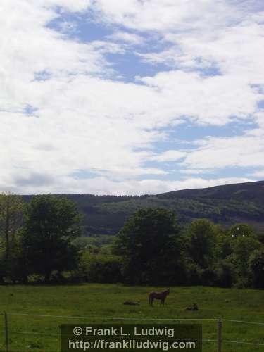 Strandhill Road